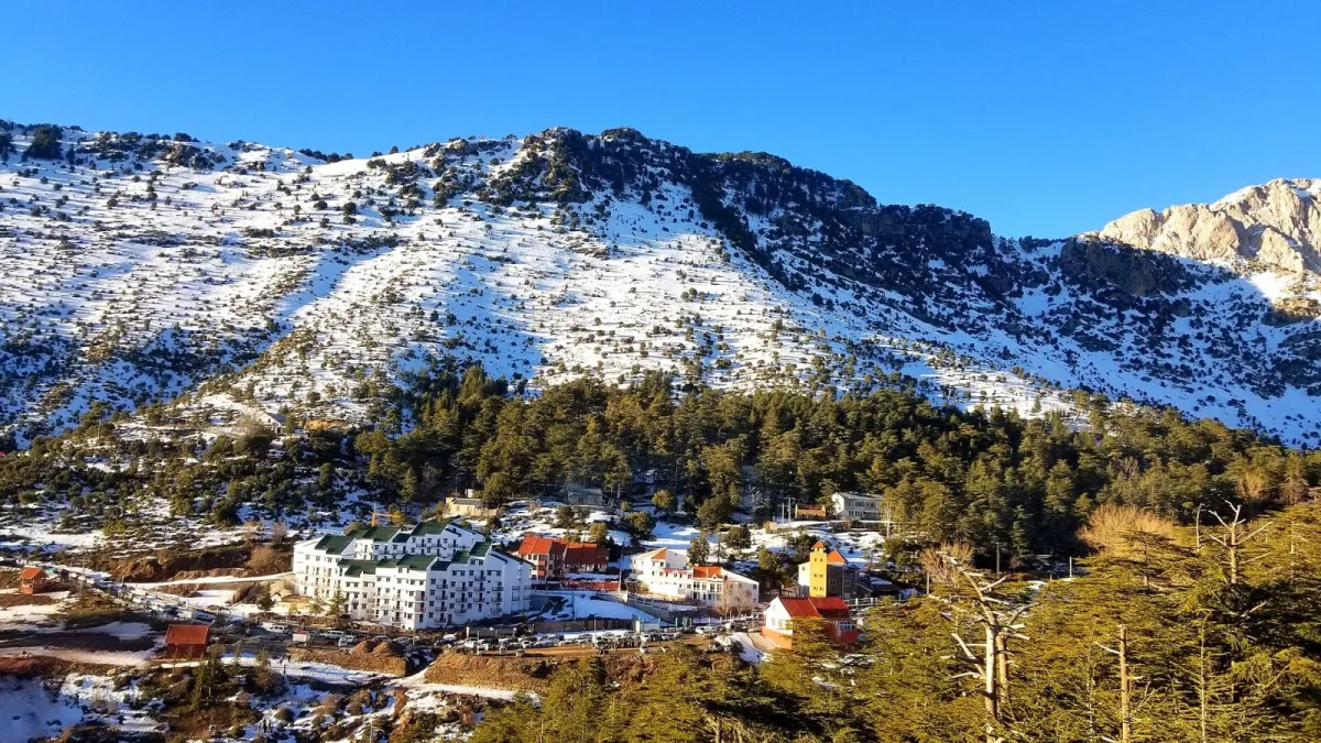 Tikjda (Djurdjura)