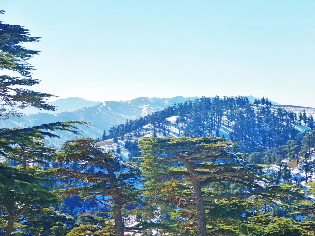 Massif des Aurès